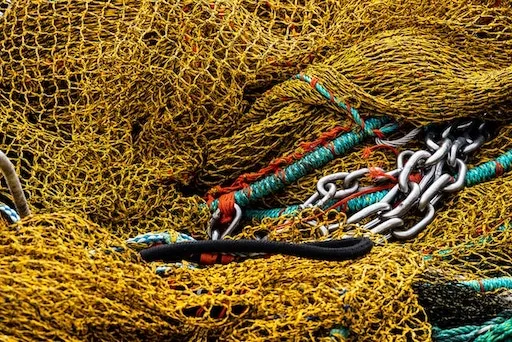 chalut - credit to https://unsplash.com/@davidclode